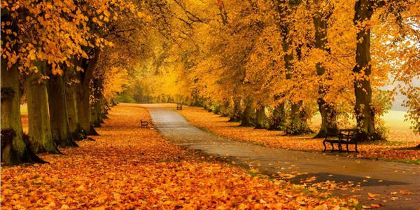 划重点，10月有这些考试