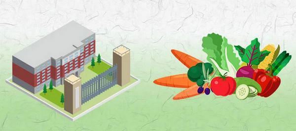 2021年中央财政共安排260.34亿元，支持改善农村学生营养状况