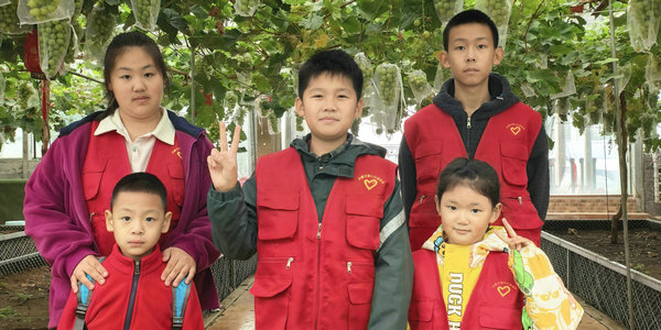 寒风里的小火苗！这个周末，小伦敦志愿者用成长把时光焐暖