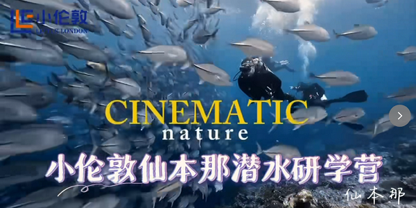 深海探索 + 成长蜕变！小伦敦潜水研学营让青少年受益多多～