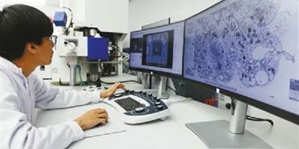 教育之光点亮科学之城