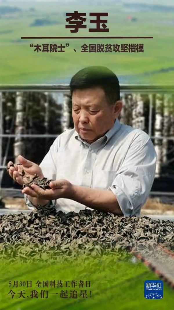 9.jpg 9.jpg