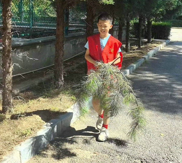 1.jpg